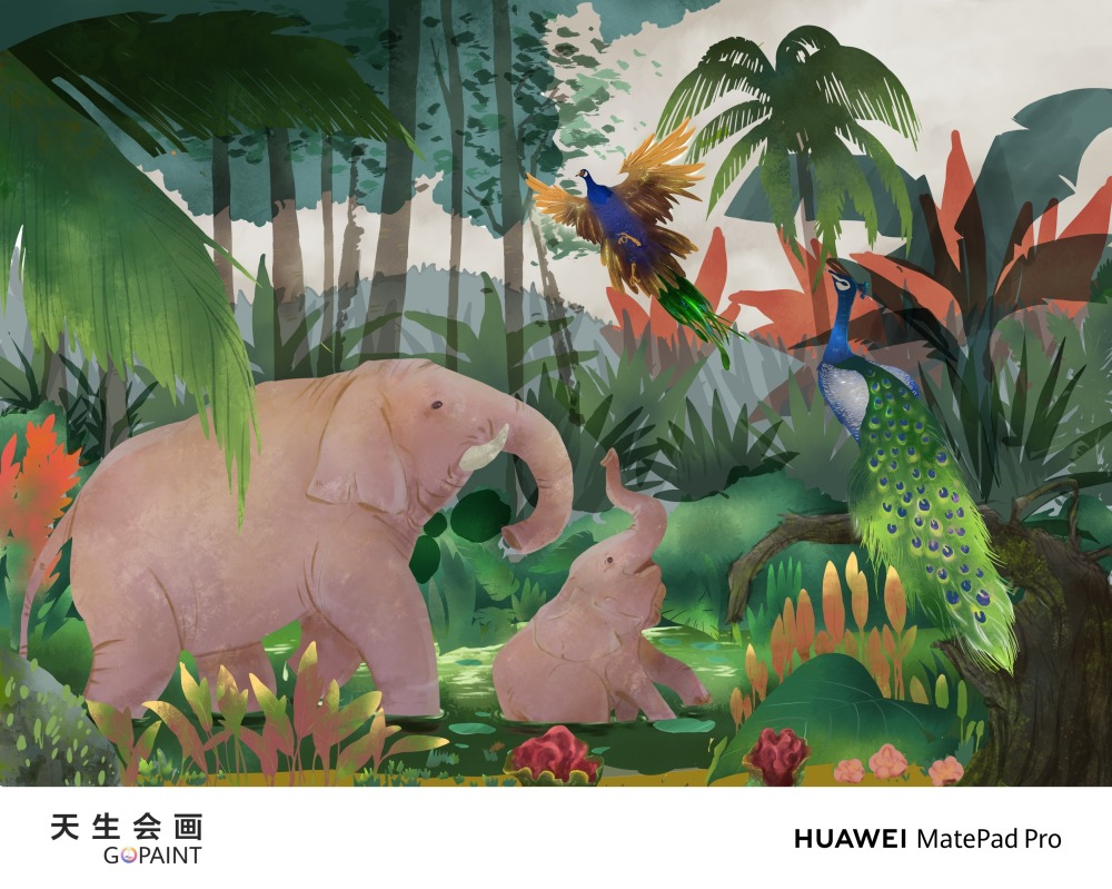 图片